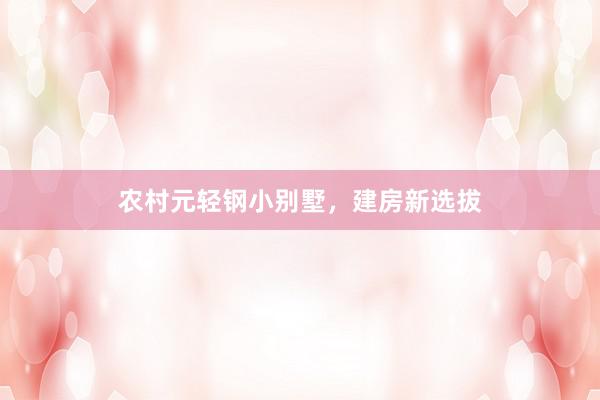 农村元轻钢小别墅,建房新选拔