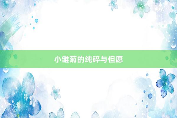 小雏菊的纯碎与但愿